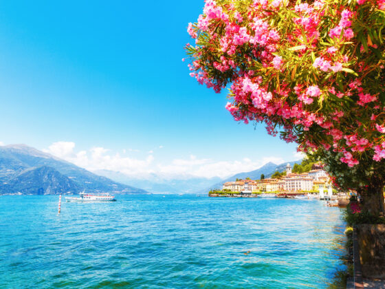 Salg service og reiseliv