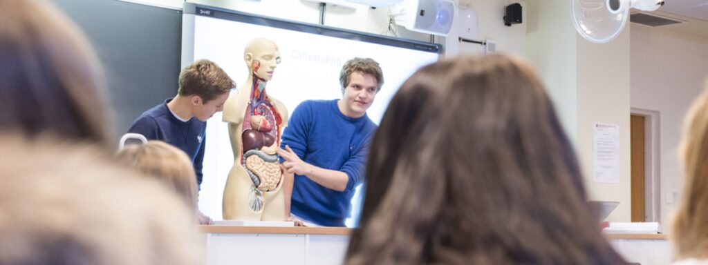 Langhaugen vidaregåande skule er ein skule med godt og inkluderande miljø og stor aktivitet. Kombinasjonen av studiespesialisering og musikk og dans gir eit særpreg utanom det vanlege.
